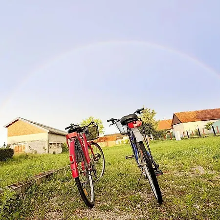Casa Dijana - A Quiet House With A Garden Near The * Dobova